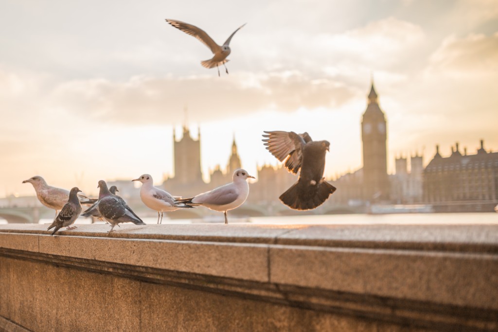 The UK has long been a global superpower with London as the world’s financial, education and cultural centre -- even before it became a member of the EU.
